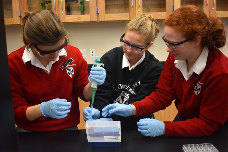 DHS-Biology_II_Honors(2)